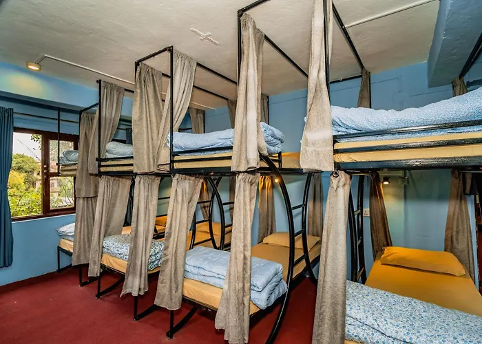 Hostel Rest Up *